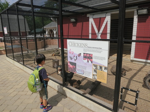 子連れ海外旅行「旅育」を毎年続けようと思う理由