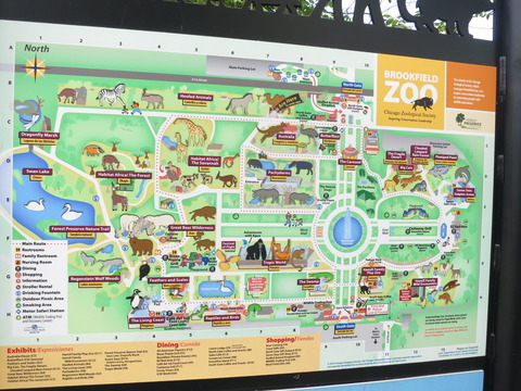 シカゴ11日目 ブルックフィールド動物園はどこ？