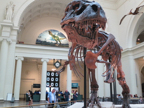 6歳長男づれシカゴ2週間、旅行記はじめます！