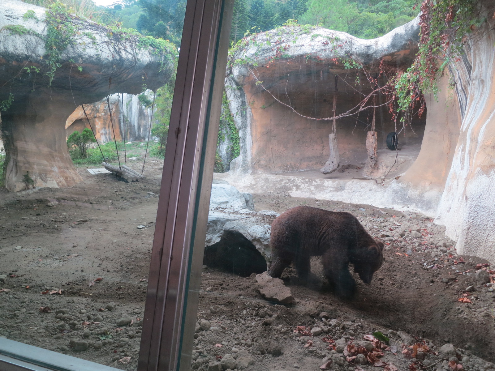 子連れ台北2017：台北市立動物園が広すぎる！