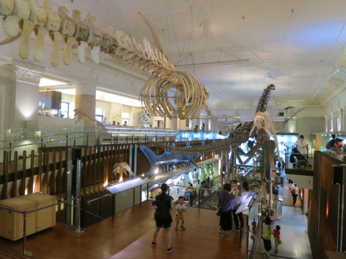 台北の土銀展示館