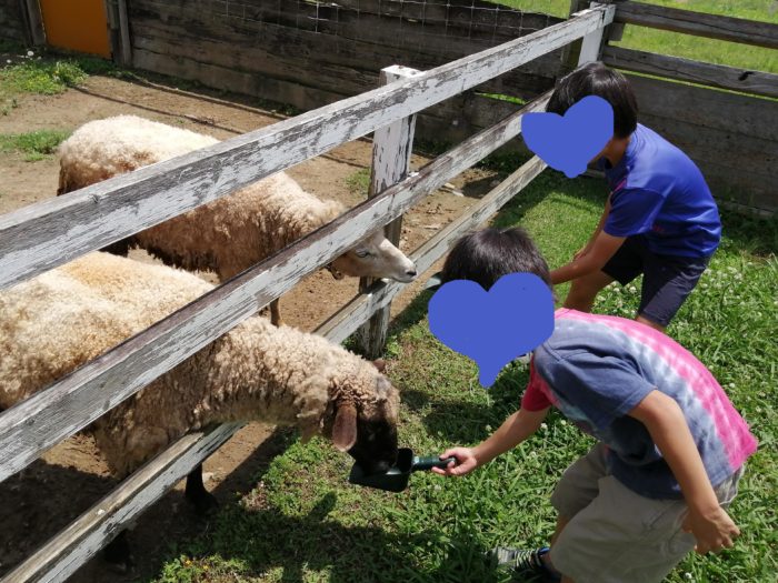 赤穂の動物ふれあい村