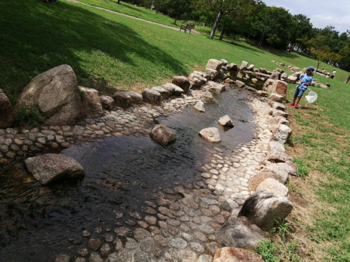 芦屋市総合公園の小川