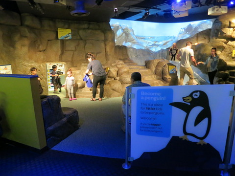 20160821シェッド水族館_103