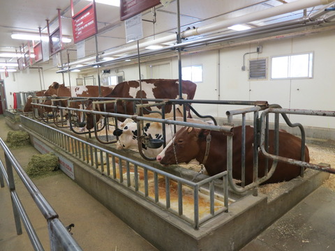20160828ミルウォーキー動物園_325