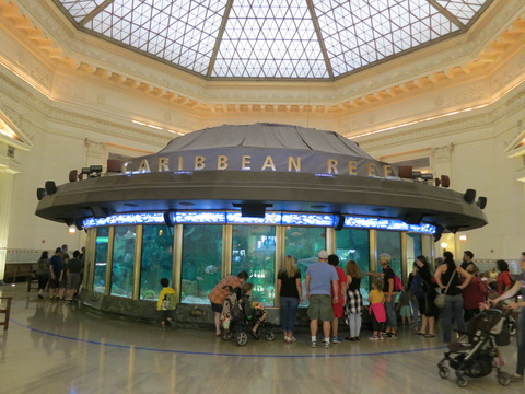 20160821シェッド水族館_022