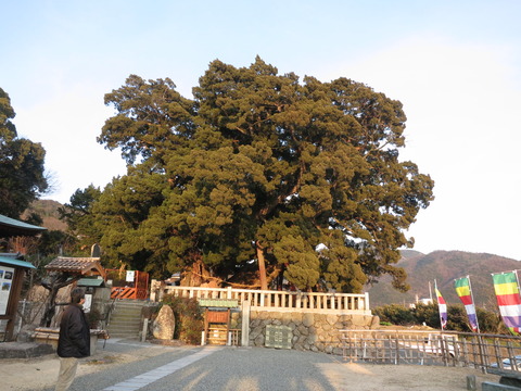20170225小豆島_55