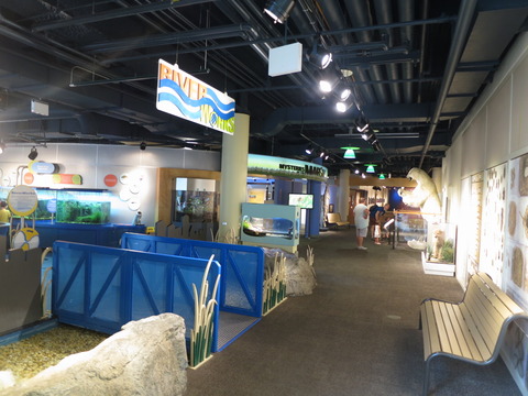 20160827ペギー自然博物館_11