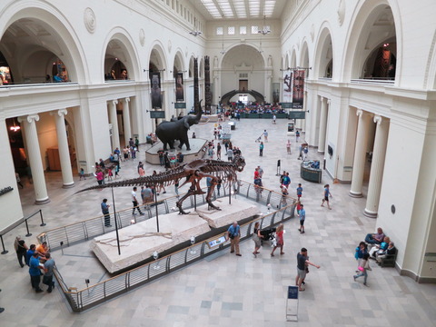 20160820フィールド博物館_42