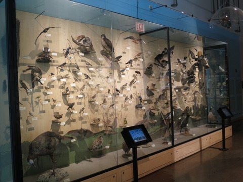 20160827ペギー自然博物館_64