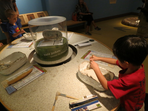 20160820フィールド博物館_35