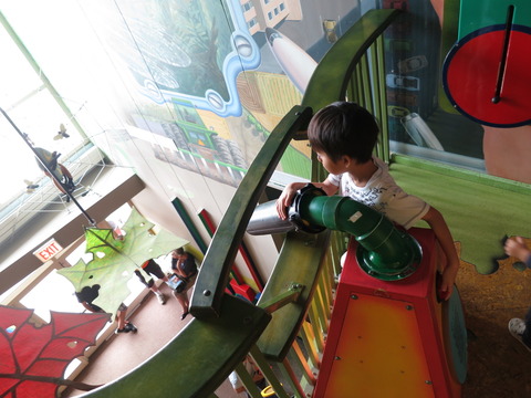 20160827ペギー自然博物館_53