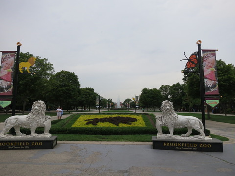 20160829ブルックフィールド動物園_322