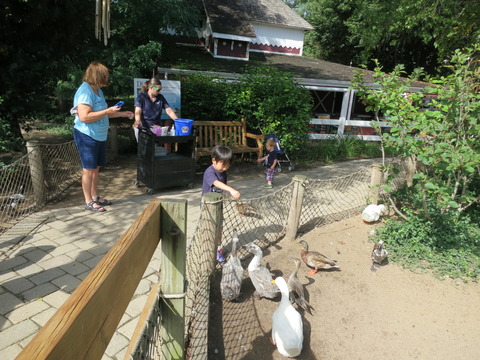 20160831コズリー動物園_032