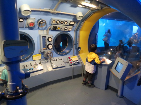 20160821シェッド水族館_091