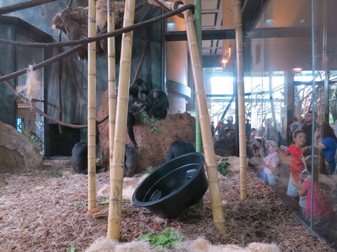 20160827LP動物園2_032