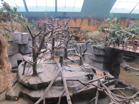 20160829ブルックフィールド動物園_274