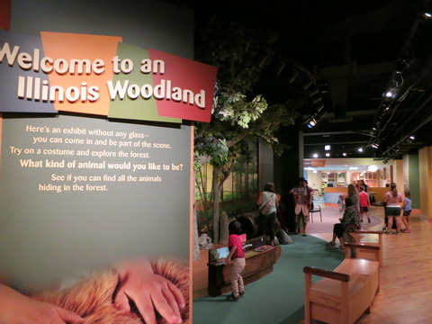 20160820フィールド博物館_29