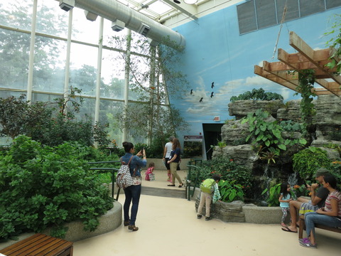 20160827ペギー自然博物館_79