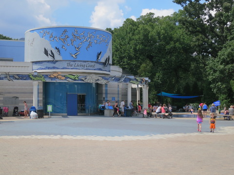 20160829ブルックフィールド動物園_173