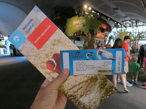 20160821シェッド水族館_009