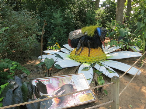 20160828ミルウォーキー動物園_160