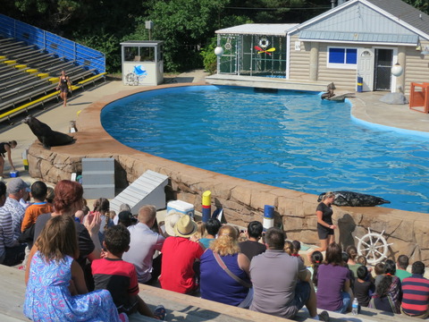 20160828ミルウォーキー動物園_295